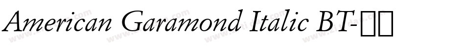 American Garamond Italic BT字体转换
